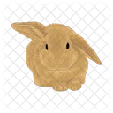 Rabbit Bunny Animal Icon