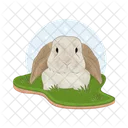 Rabbit  Icon