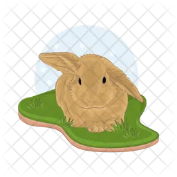 Rabbit  Icon