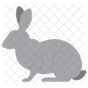 Animal Animal Rabbit Icon