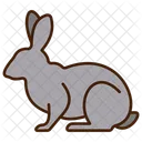 Animal Rabbit Animal Icon