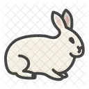 Rabbit Bunny Hare Icon