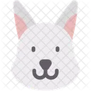 Rabbit Hare Animals Icon