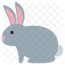 Rabbit Easter Animal Icon