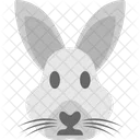 Rabbit Face Animal Icon