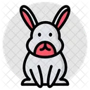Rabbit Animal Creature Icon