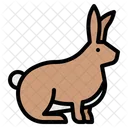 Rabbit Bunny Zoo Icon