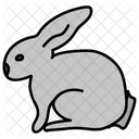 Rabbit Pet Animal Bunny Icon