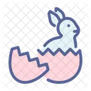 Bunny Egg Easter Icon