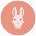 Rabbit Animal Icon