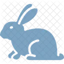 Rabbit Wildlife Animal Icon