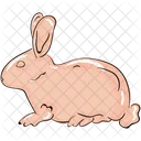 Rabbit Hare Rodent Icon