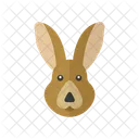 Animal Nature Rabbit Icon