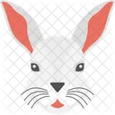 Pet Rabbit Animal Icon