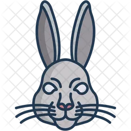 Rabbit  Icon