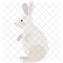 Rabbit Animal Wild Animal Icon