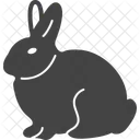 Rabbit Bunny Animals Icon