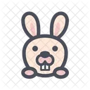 Rabbit Pet Cute Icon