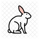 Rabbit Pet Color Icon