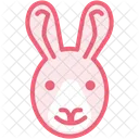 Rabbit Face Animal Icon