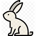 Rabbit  Icon