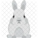 Rabbit  Icon