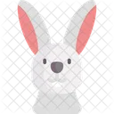 Easter Bunny Rabbit Bunny Icon