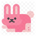 Rabbit  Icon