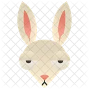 Rabbit Hare Burrow アイコン