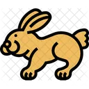 Rabbit Bunny Pet Icon
