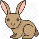 Rabbit  Icon