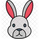 Rabbit  Icon
