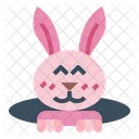 Rabbit  Icon