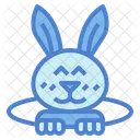 Rabbit  Icon