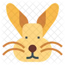 Rabbit  Icon