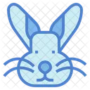 Rabbit  Icon