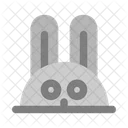 Rabbit Bunny Animal Icône