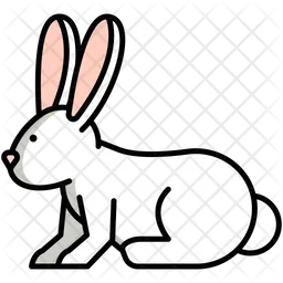 Rabbit  Icon