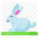 Rabbit Mammal Pet Icon
