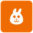 Rabbit Conejo Animal Icon