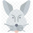 Rabbit Mammal Animal Icon