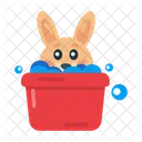 Rabbit Bath Pet Bath Pet Shower Icon