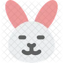 Rabbit Closed Eyes  Icon