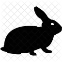 Animal Rabbit Domestic Animal Herbivorous Animal Icon