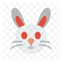 Rabbit Face Animal Rabbit Icon