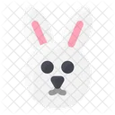 Spring Rabbit Face Rabbit Icon