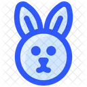 Spring Rabbit Face Rabbit Icon