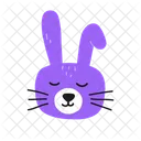 Rabbit Face  Icon