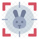 Rabbit Hunting Target Icon