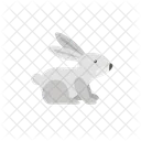 Rabbit Bunny Animal Icon